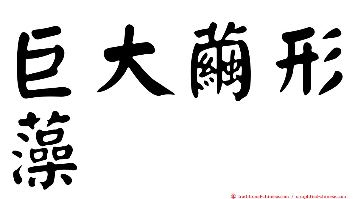 巨大繭形藻