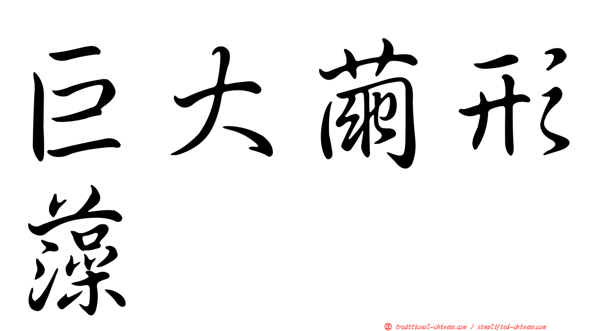 巨大繭形藻