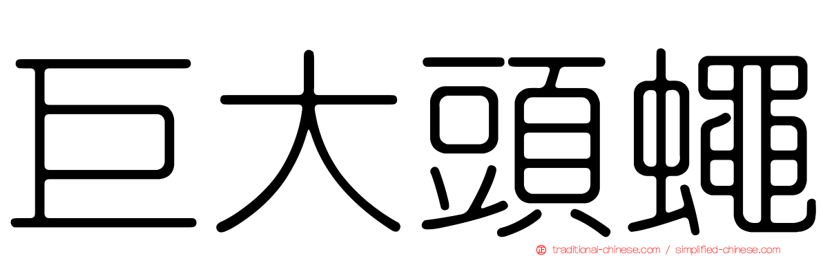巨大頭蠅