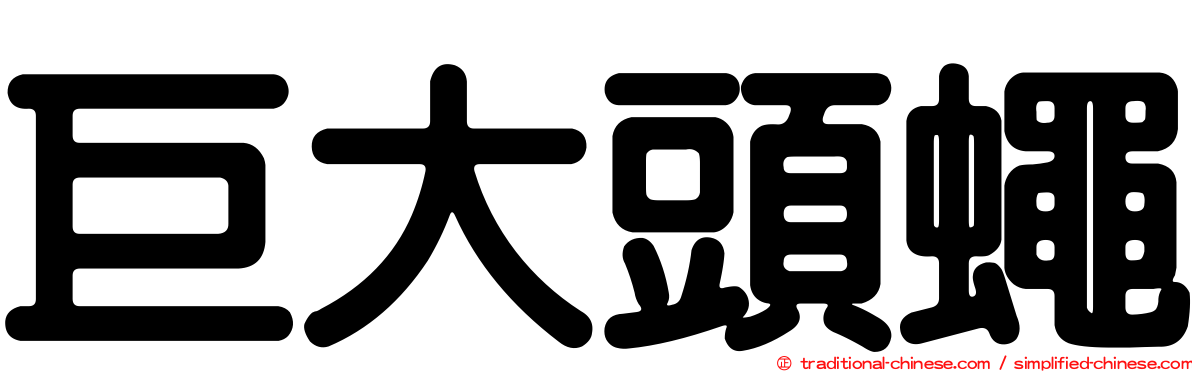 巨大頭蠅