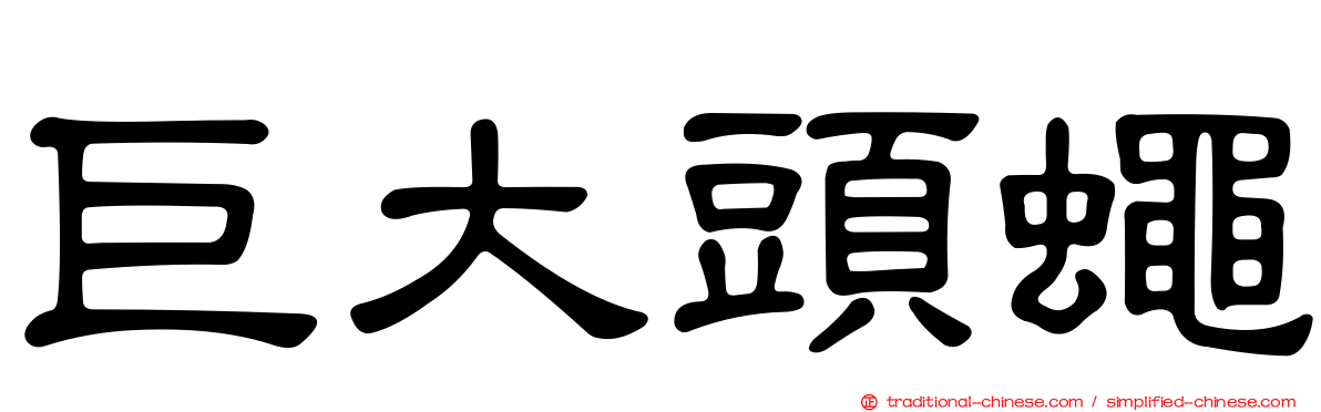 巨大頭蠅