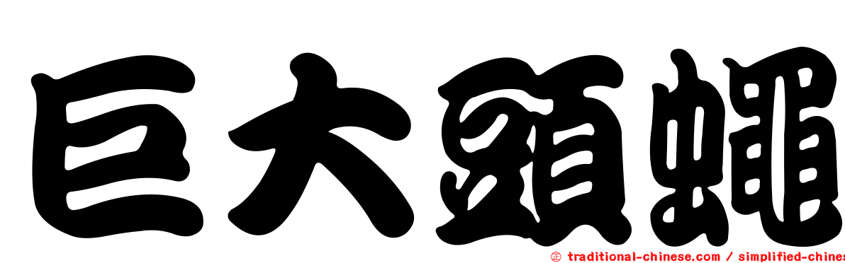 巨大頭蠅