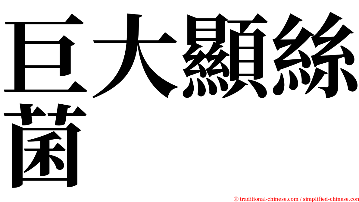 巨大顯絲菌 serif font