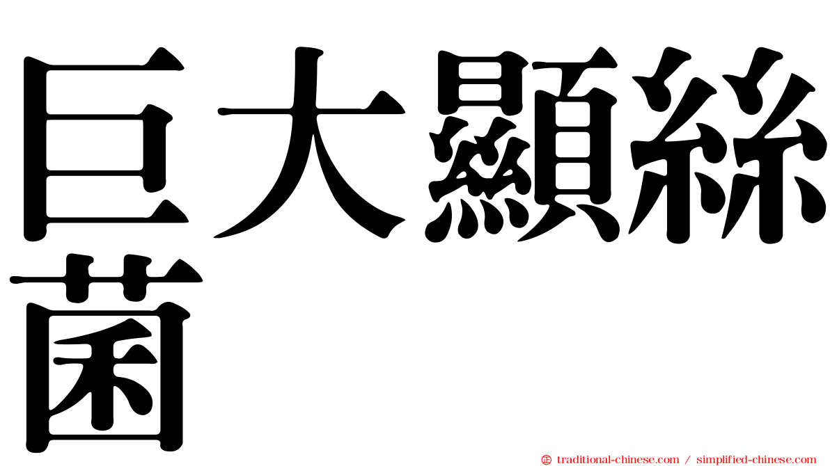 巨大顯絲菌
