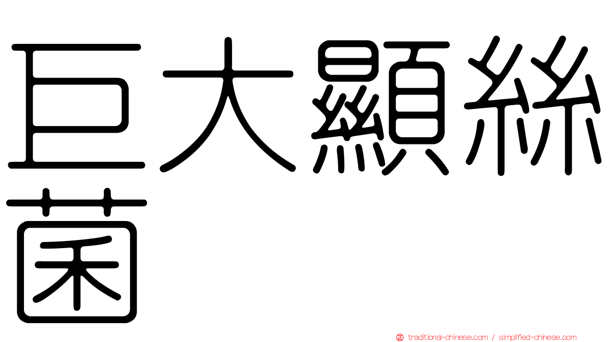 巨大顯絲菌