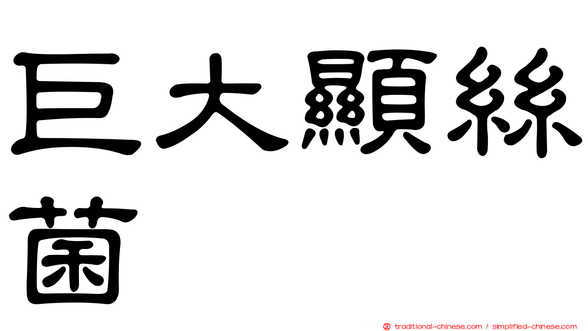 巨大顯絲菌