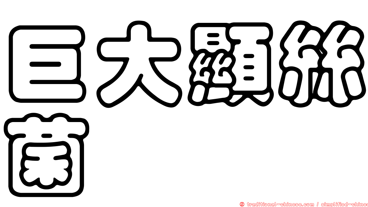 巨大顯絲菌