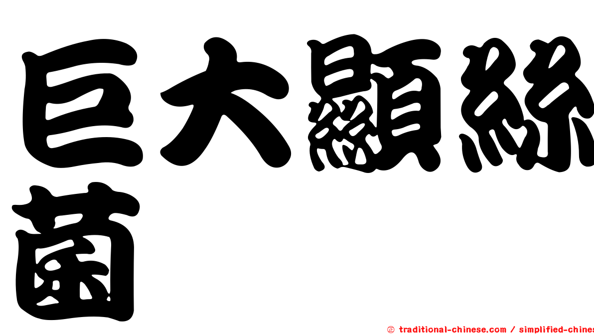 巨大顯絲菌