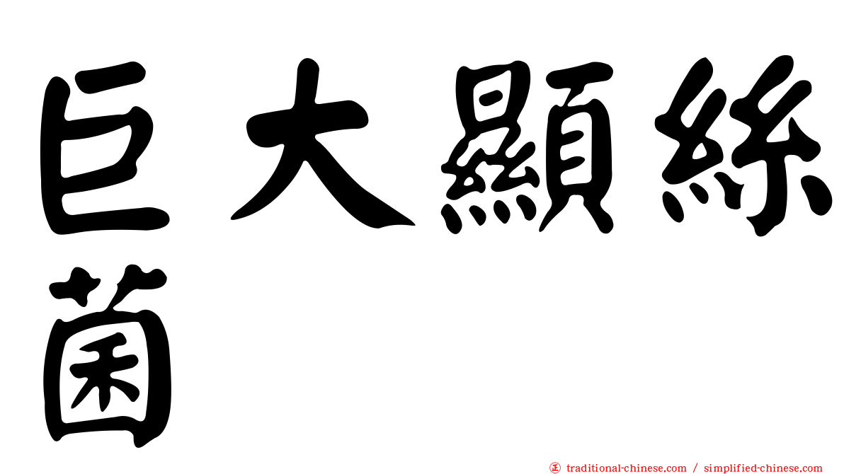 巨大顯絲菌