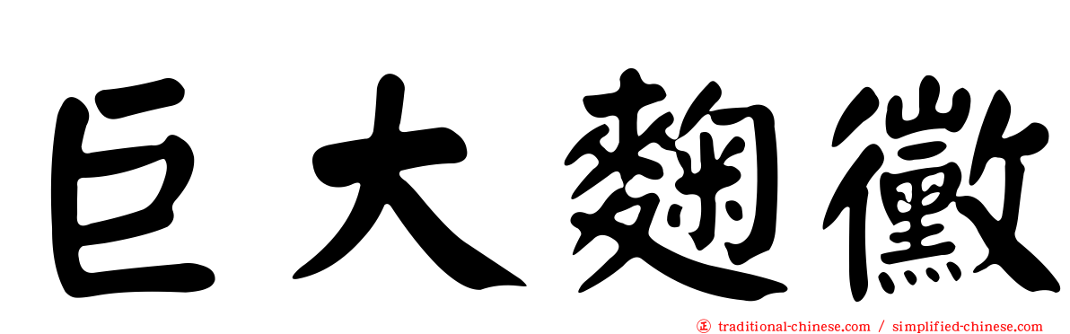 巨大麴黴