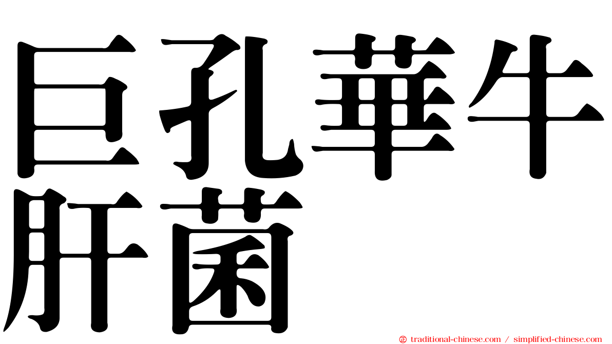 巨孔華牛肝菌