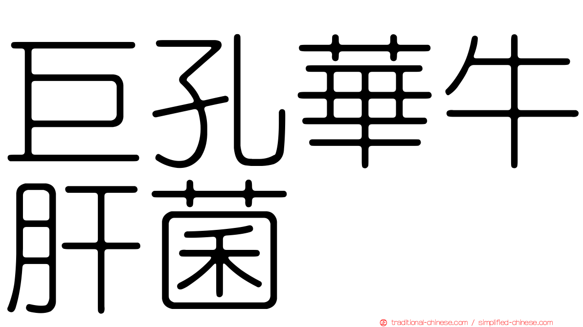 巨孔華牛肝菌
