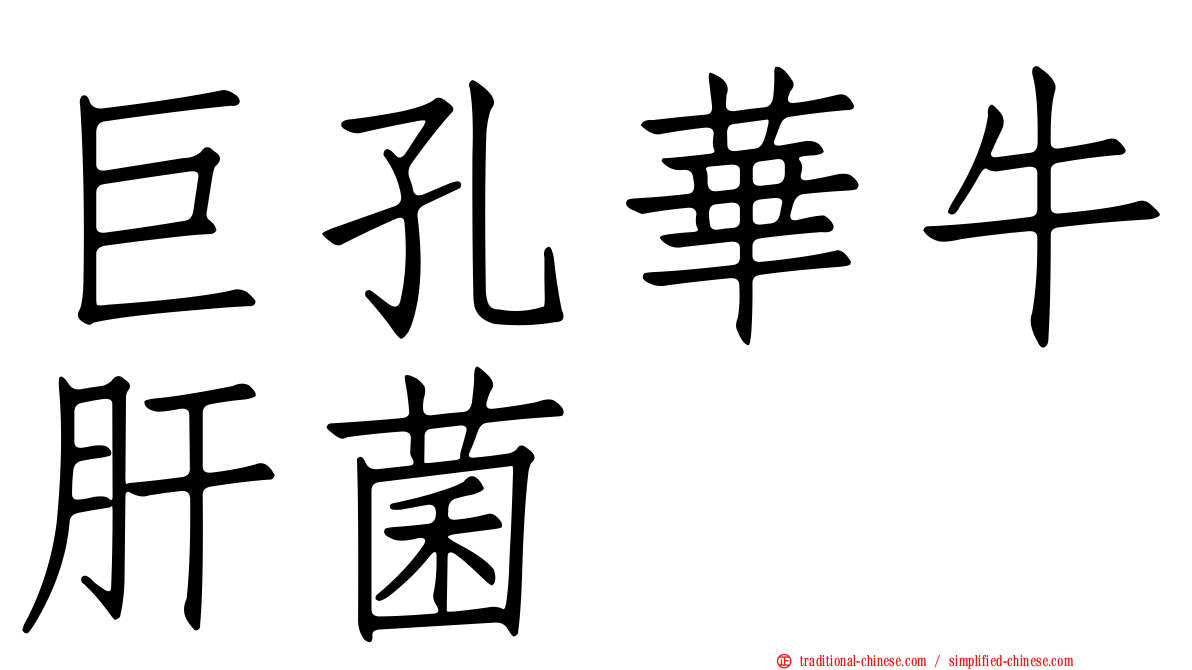 巨孔華牛肝菌