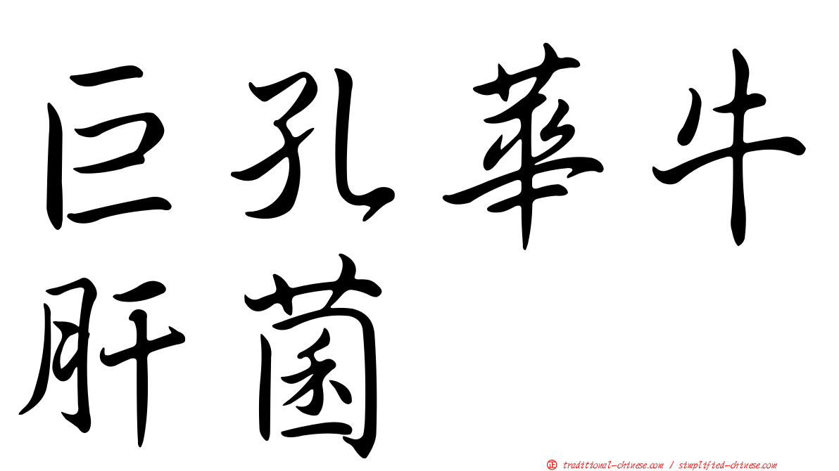 巨孔華牛肝菌