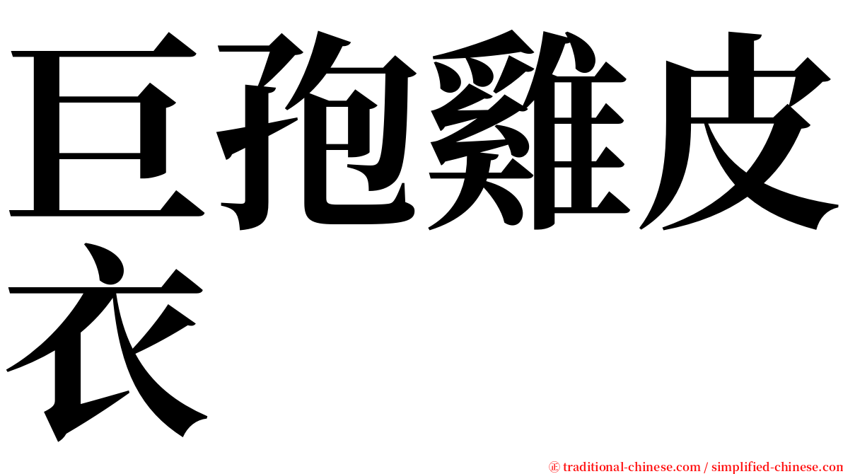 巨孢雞皮衣 serif font
