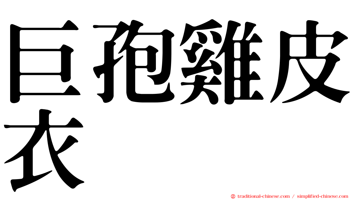 巨孢雞皮衣