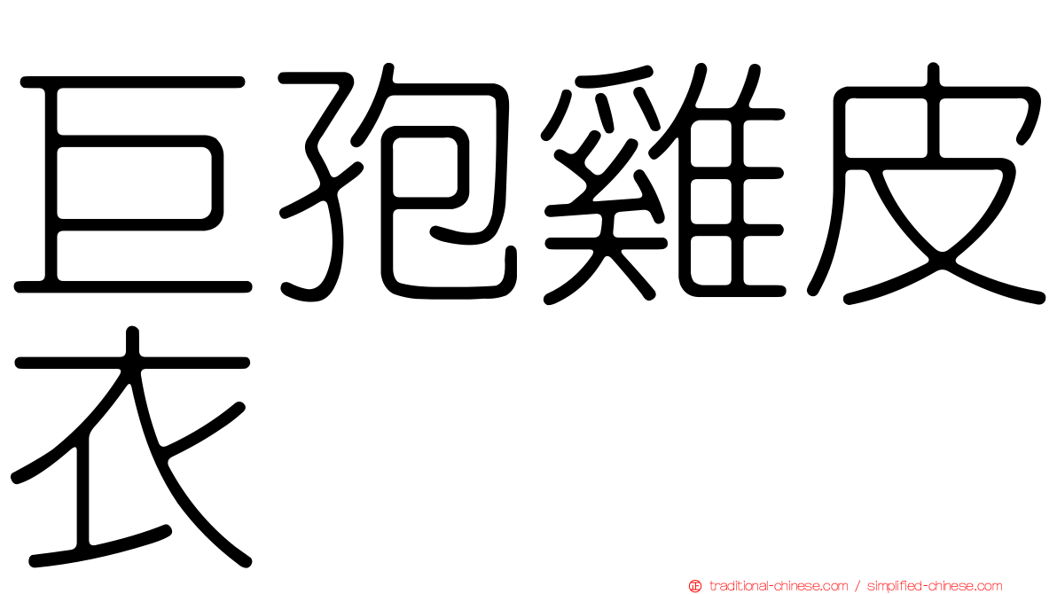 巨孢雞皮衣