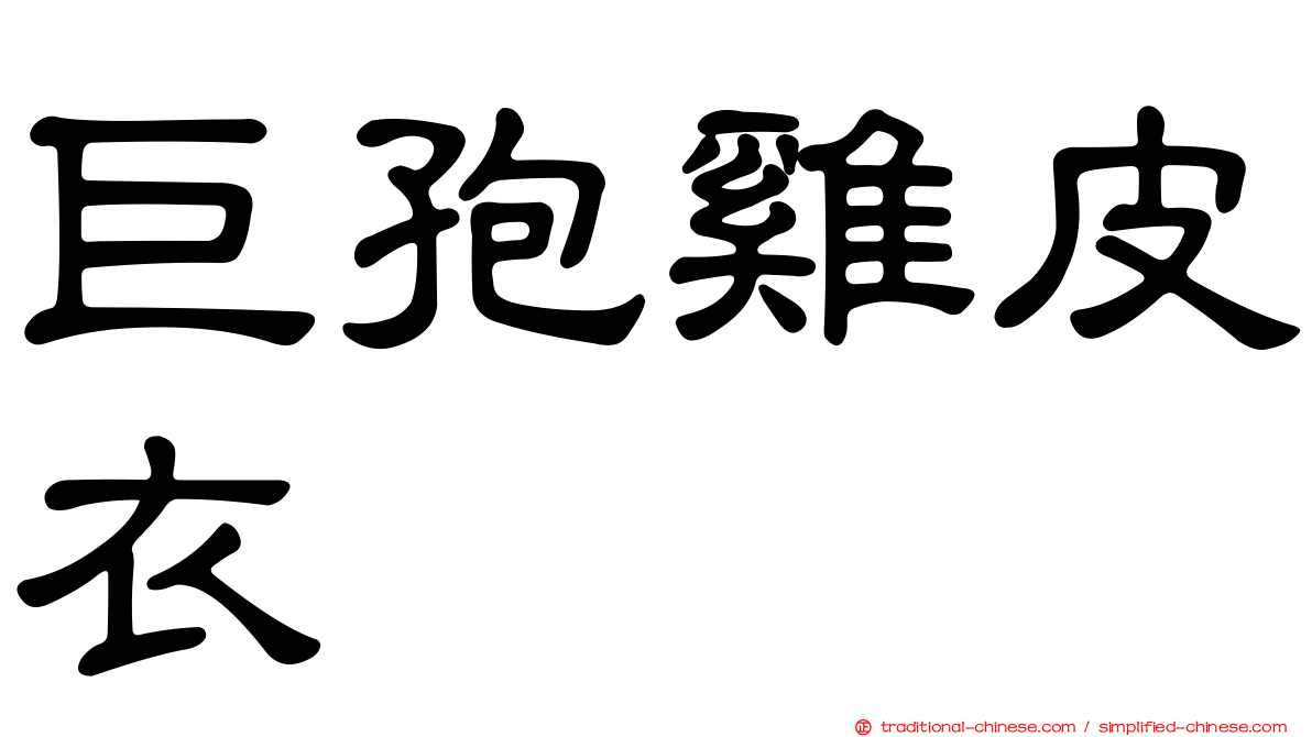 巨孢雞皮衣