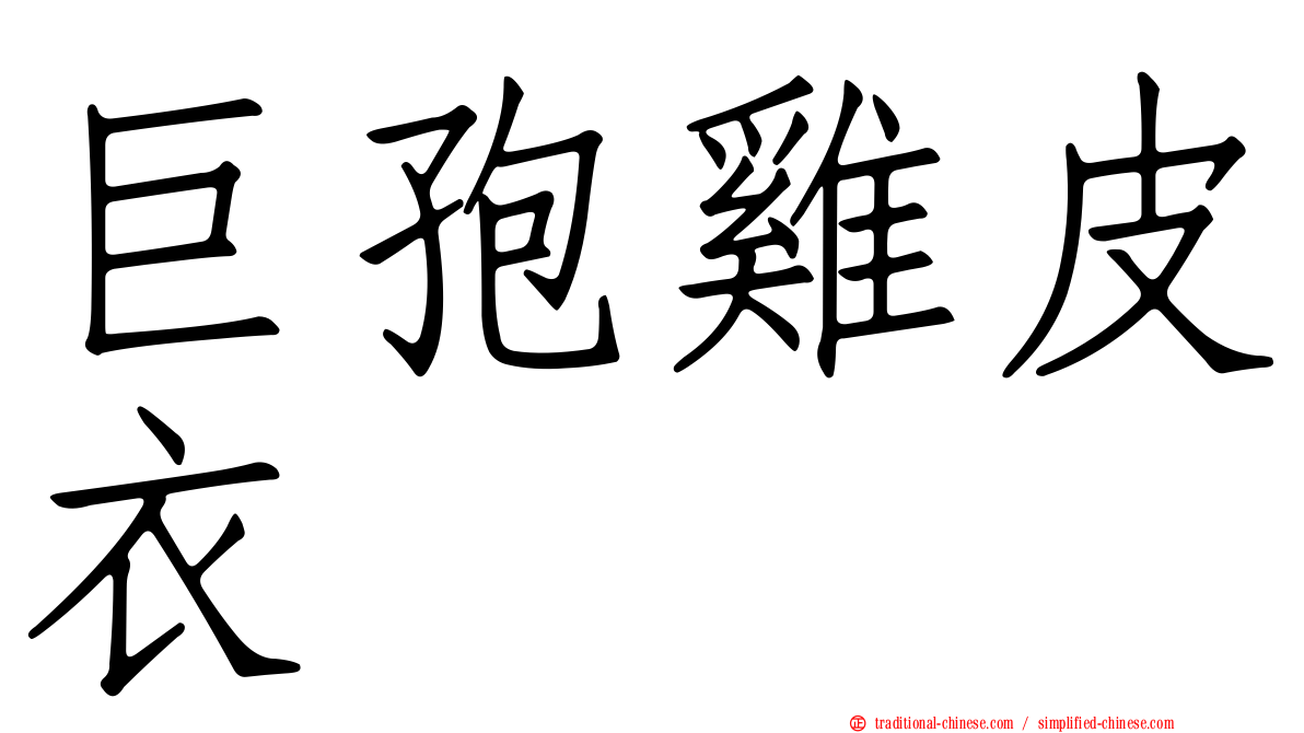 巨孢雞皮衣
