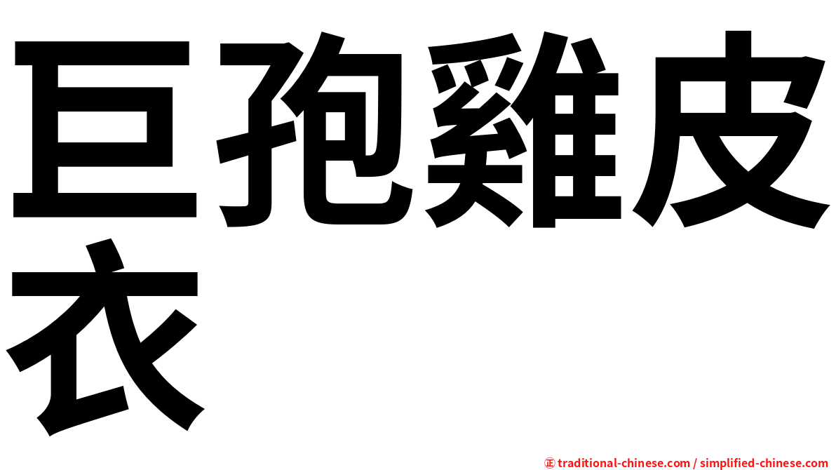 巨孢雞皮衣