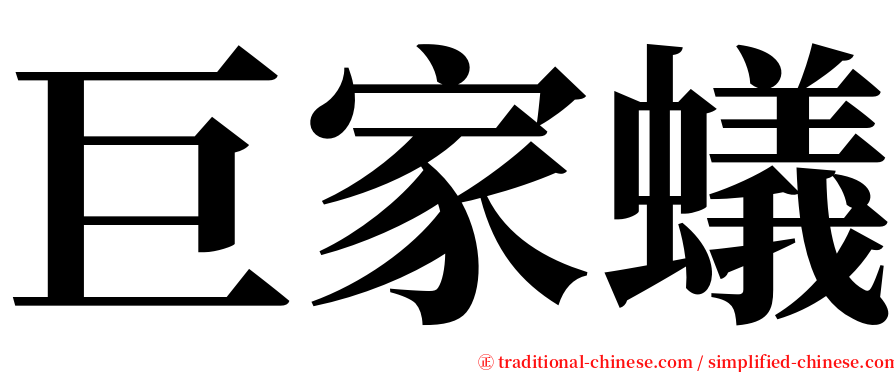 巨家蟻 serif font