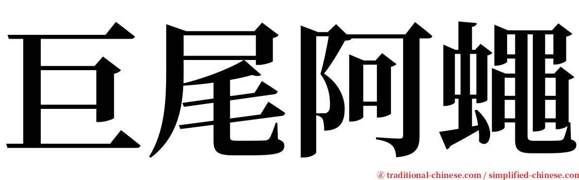巨尾阿蠅 serif font