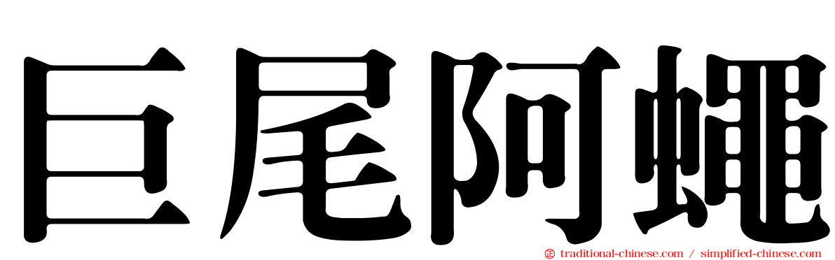 巨尾阿蠅
