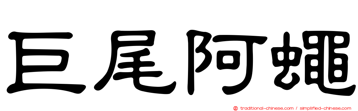 巨尾阿蠅