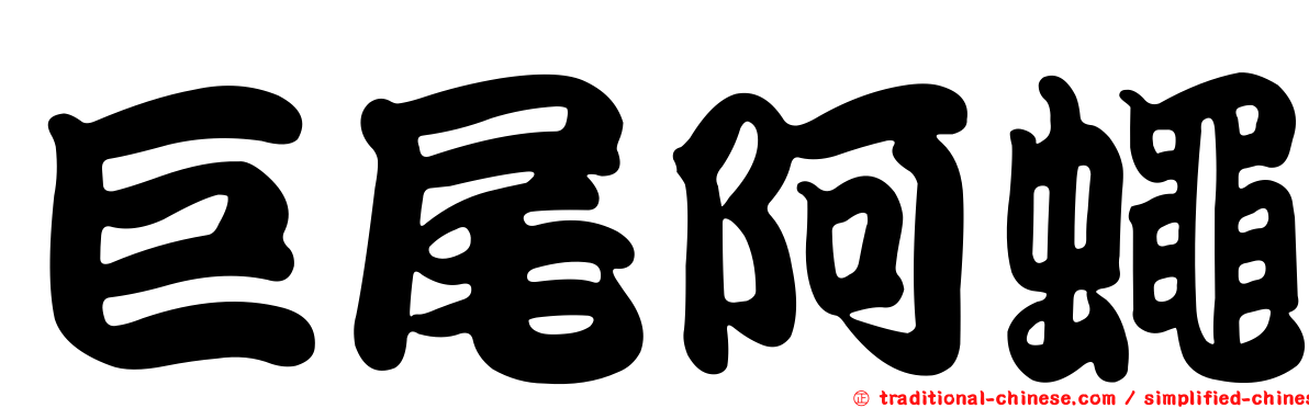 巨尾阿蠅