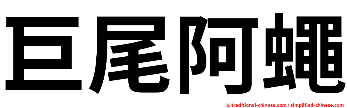 巨尾阿蠅
