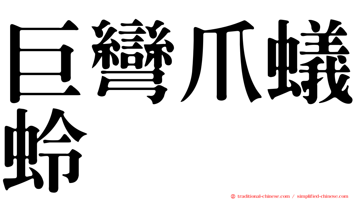 巨彎爪蟻蛉