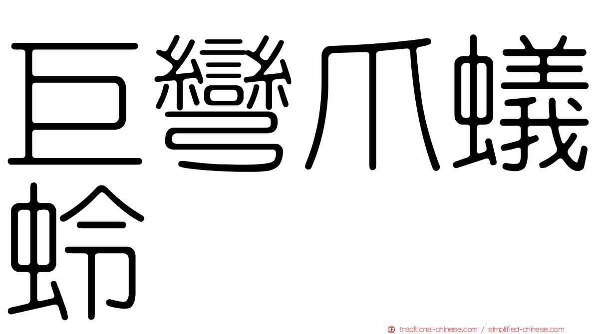 巨彎爪蟻蛉