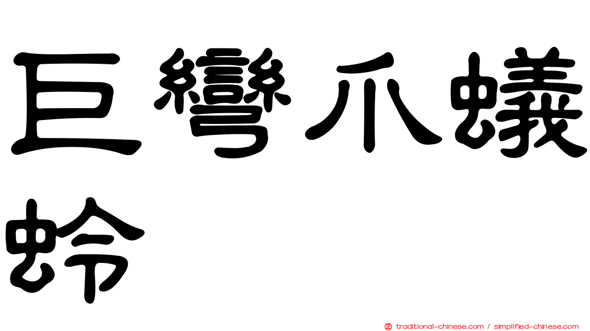 巨彎爪蟻蛉