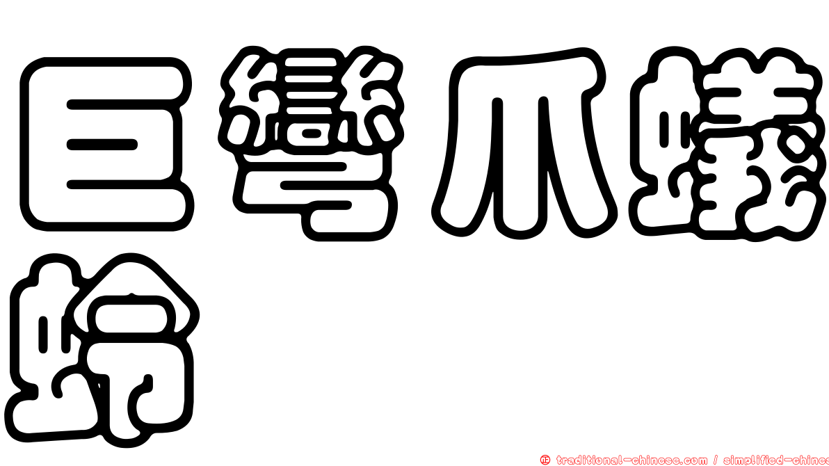 巨彎爪蟻蛉