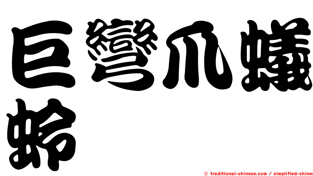 巨彎爪蟻蛉