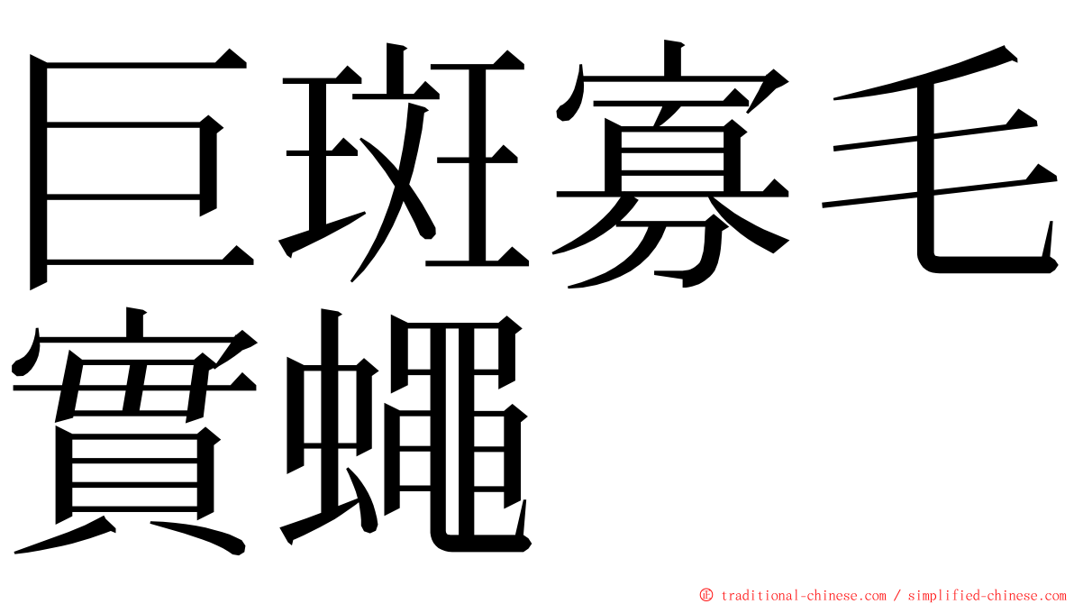 巨斑寡毛實蠅 ming font