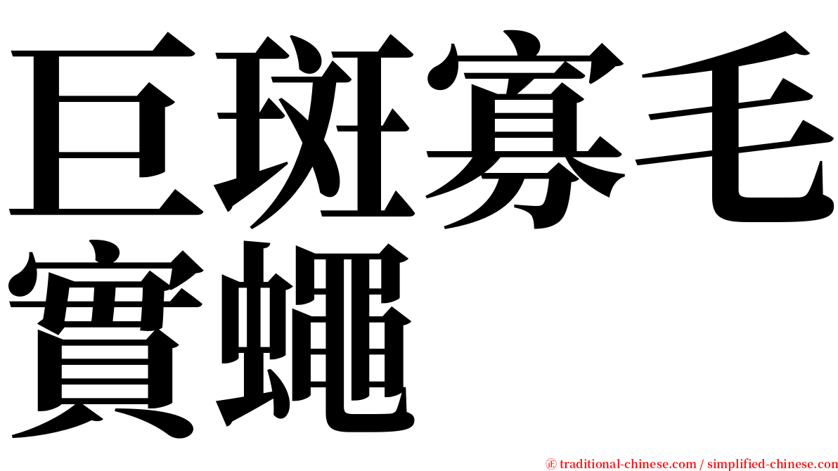 巨斑寡毛實蠅 serif font