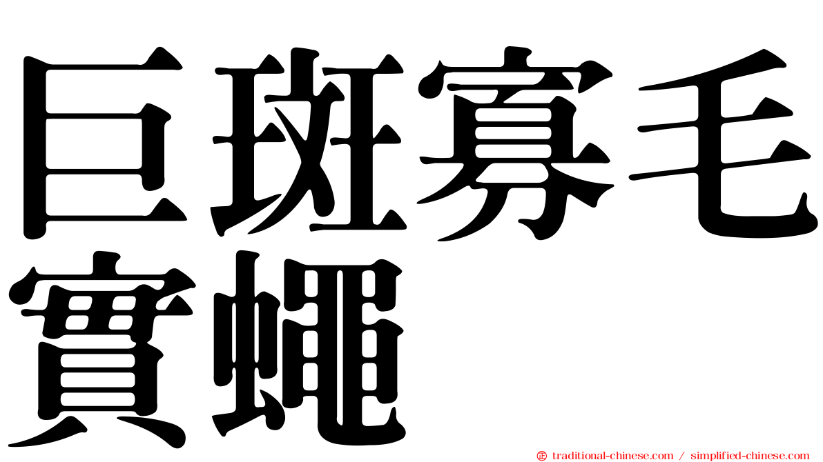 巨斑寡毛實蠅