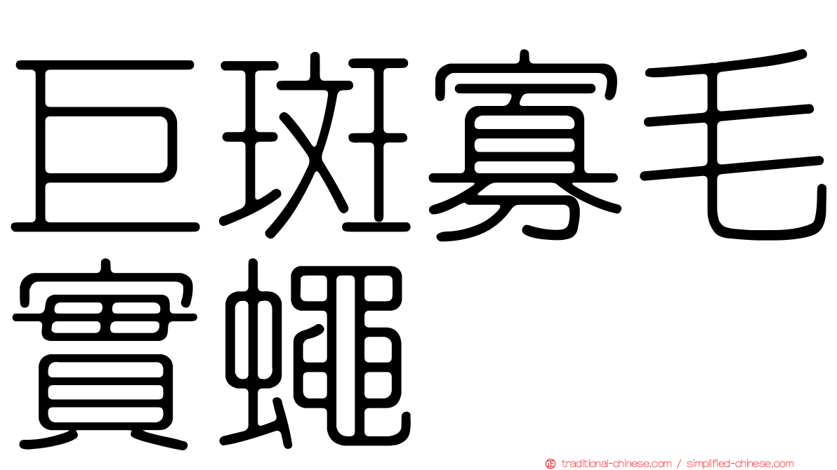 巨斑寡毛實蠅