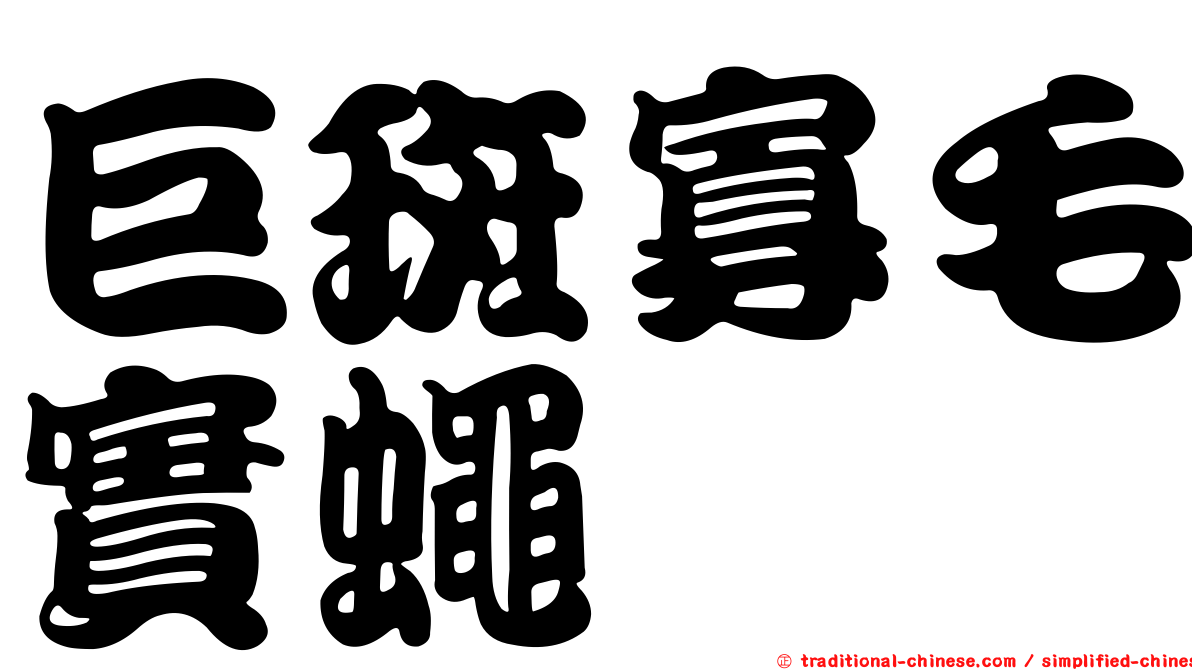 巨斑寡毛實蠅