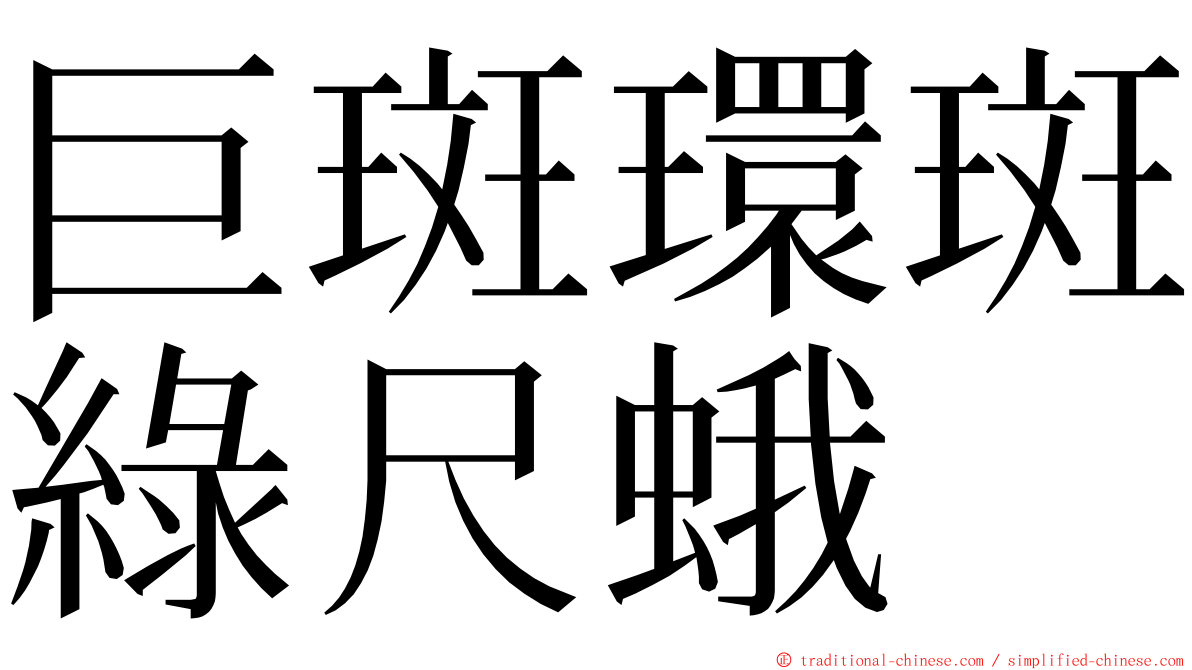 巨斑環斑綠尺蛾 ming font