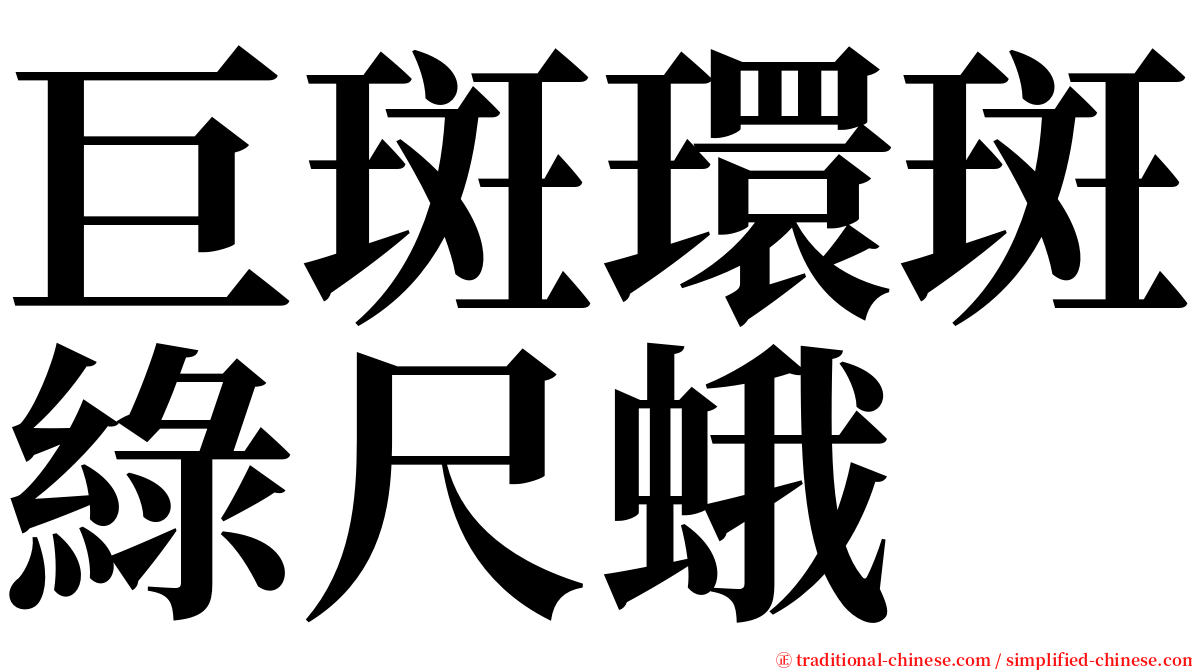 巨斑環斑綠尺蛾 serif font