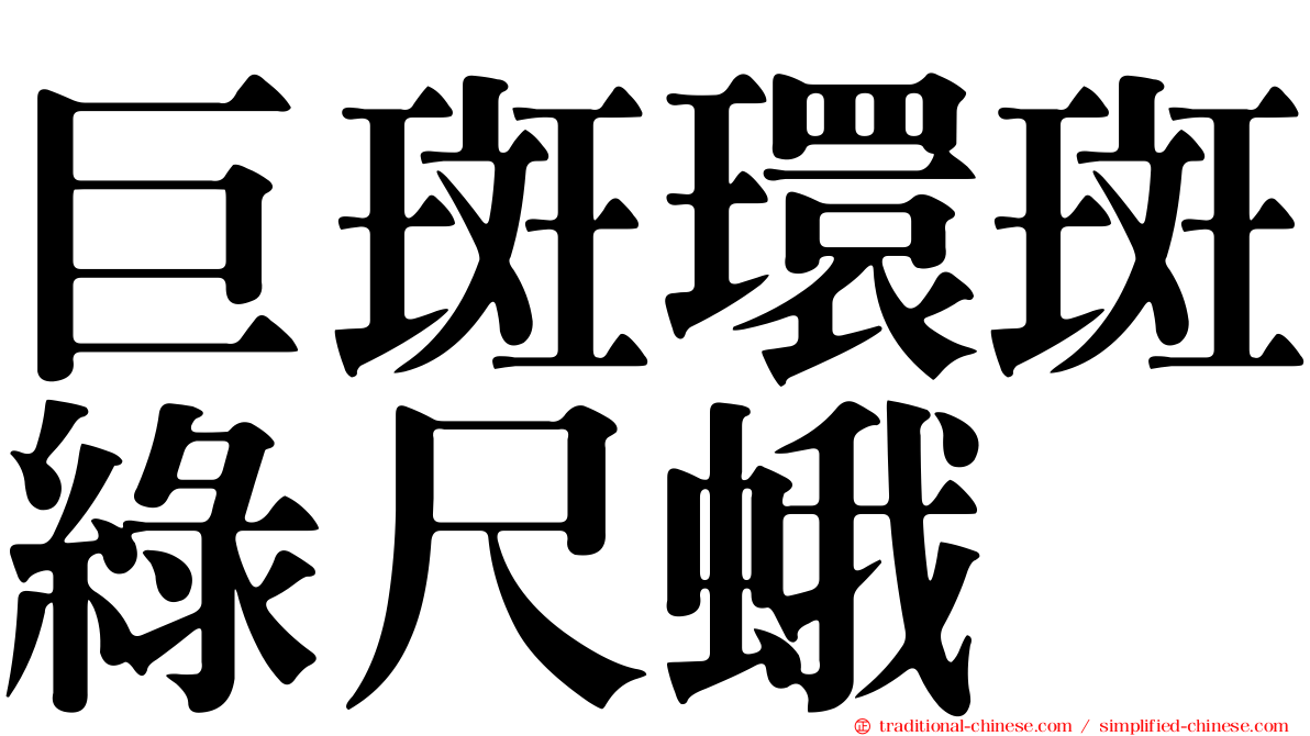 巨斑環斑綠尺蛾