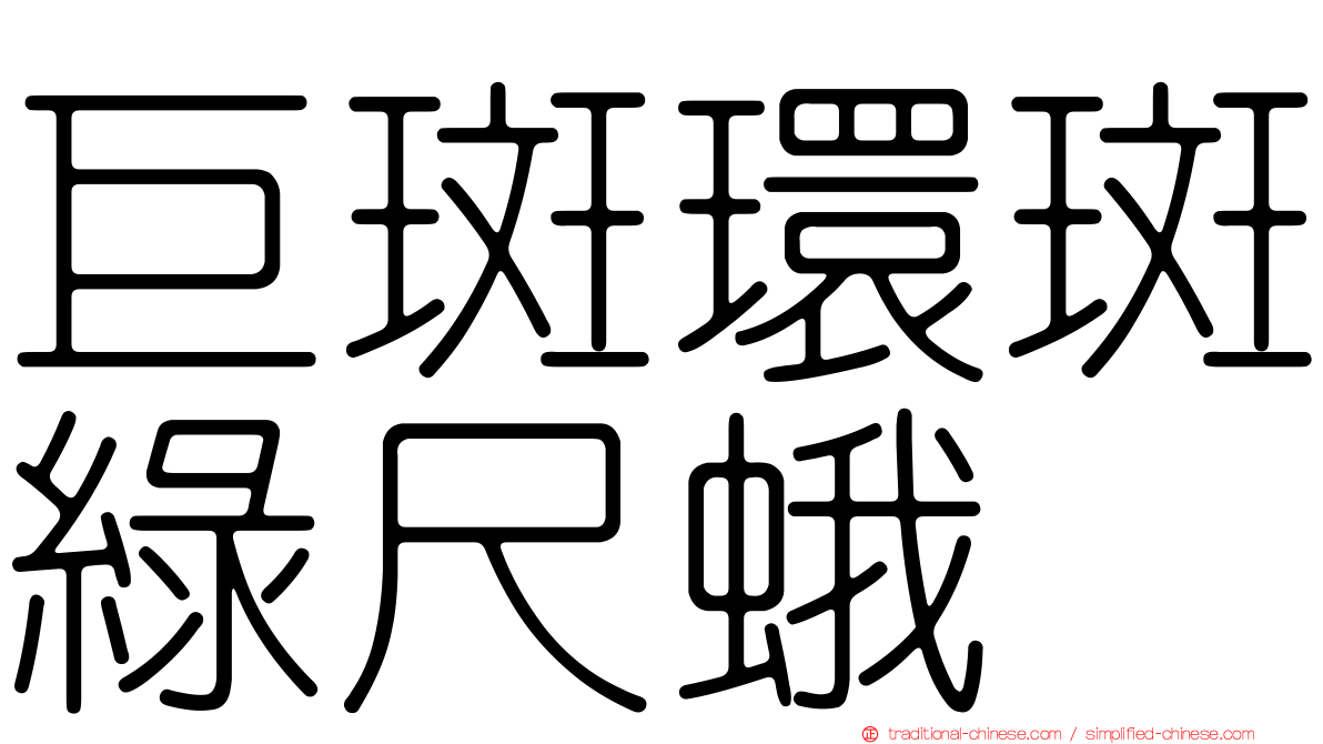巨斑環斑綠尺蛾