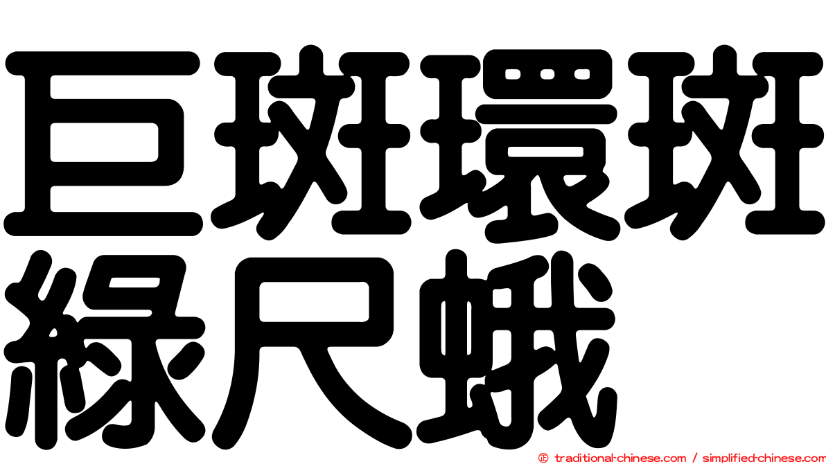 巨斑環斑綠尺蛾