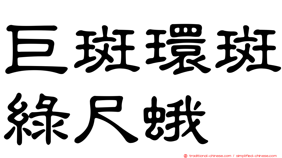 巨斑環斑綠尺蛾