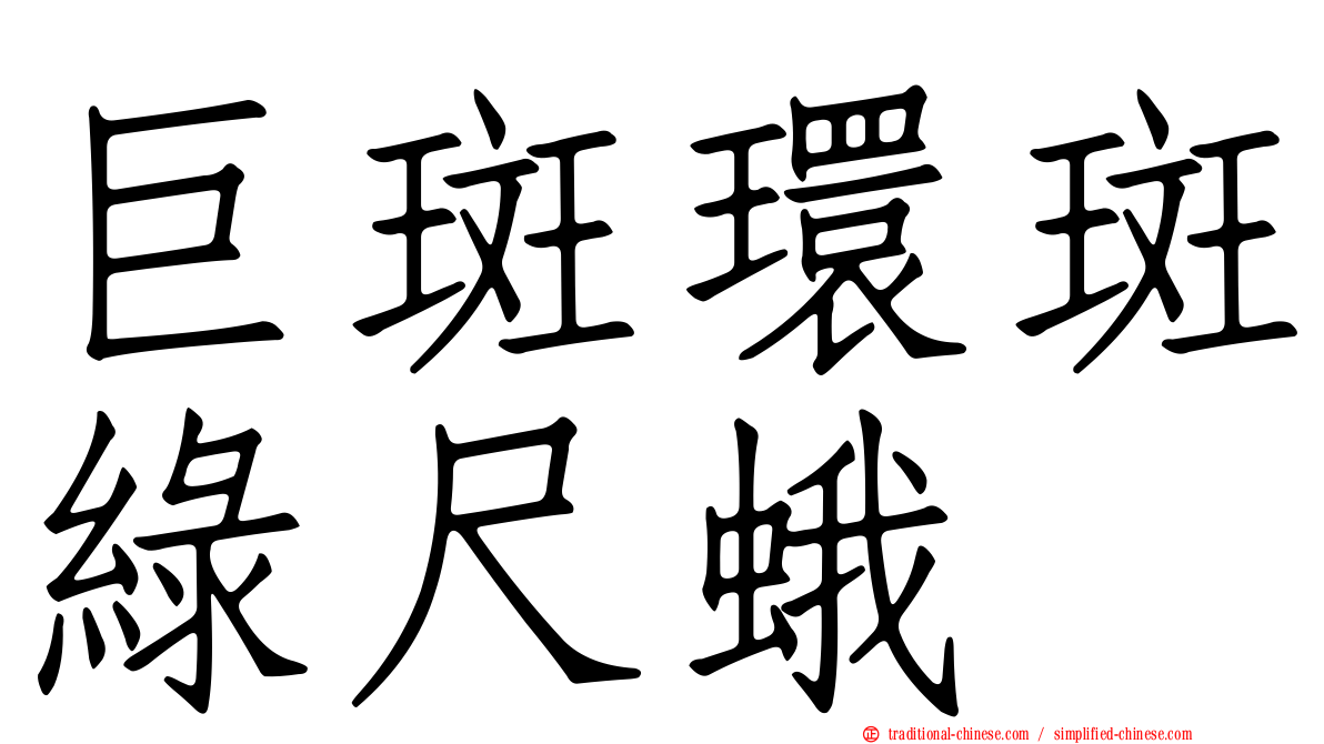 巨斑環斑綠尺蛾