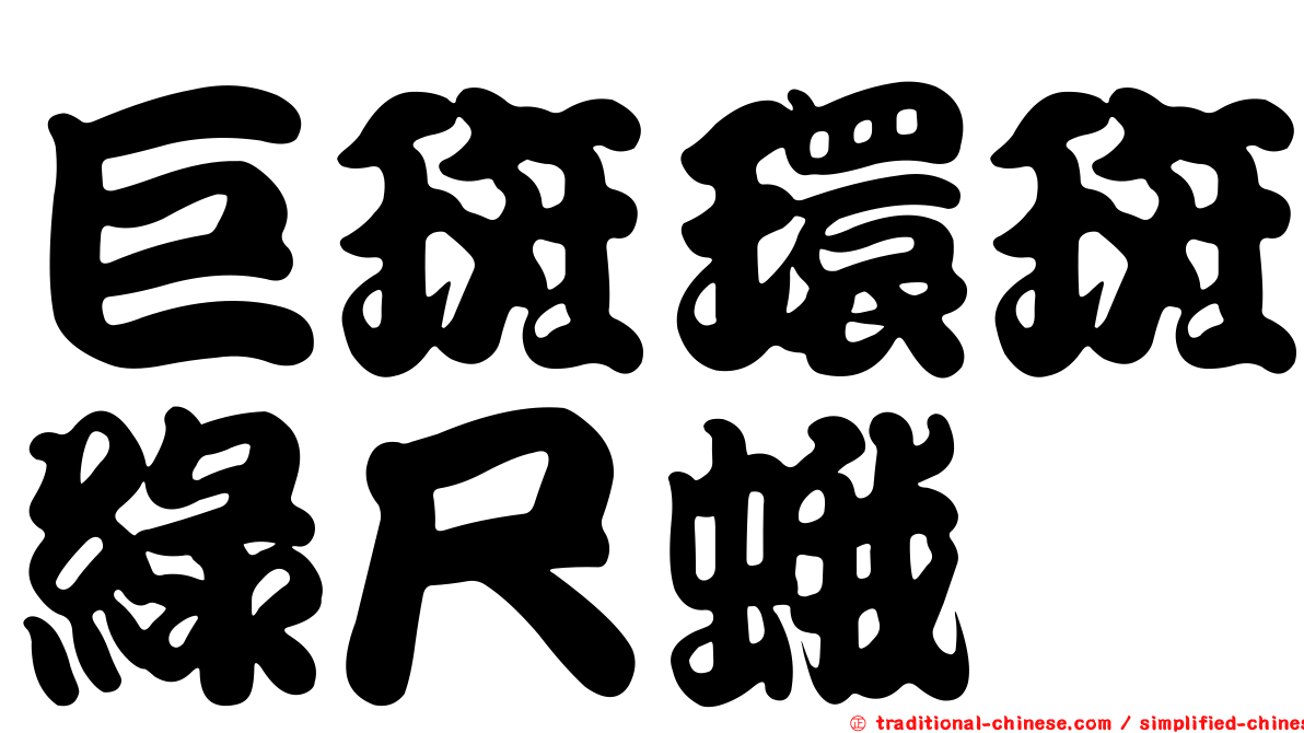 巨斑環斑綠尺蛾
