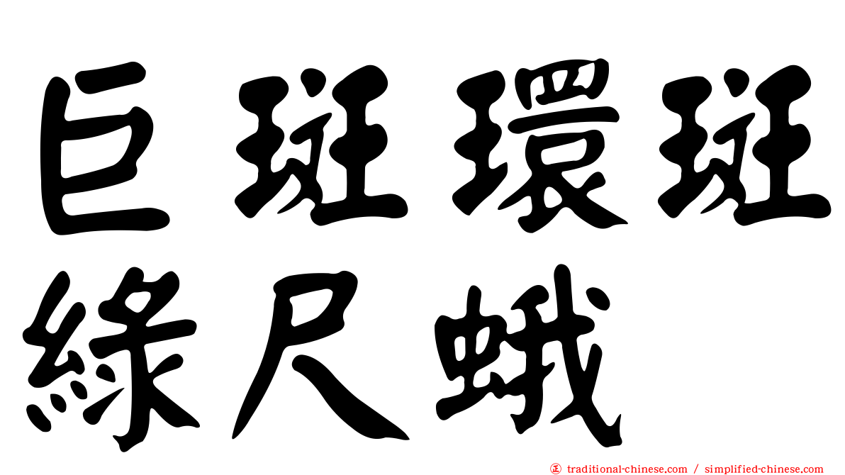 巨斑環斑綠尺蛾