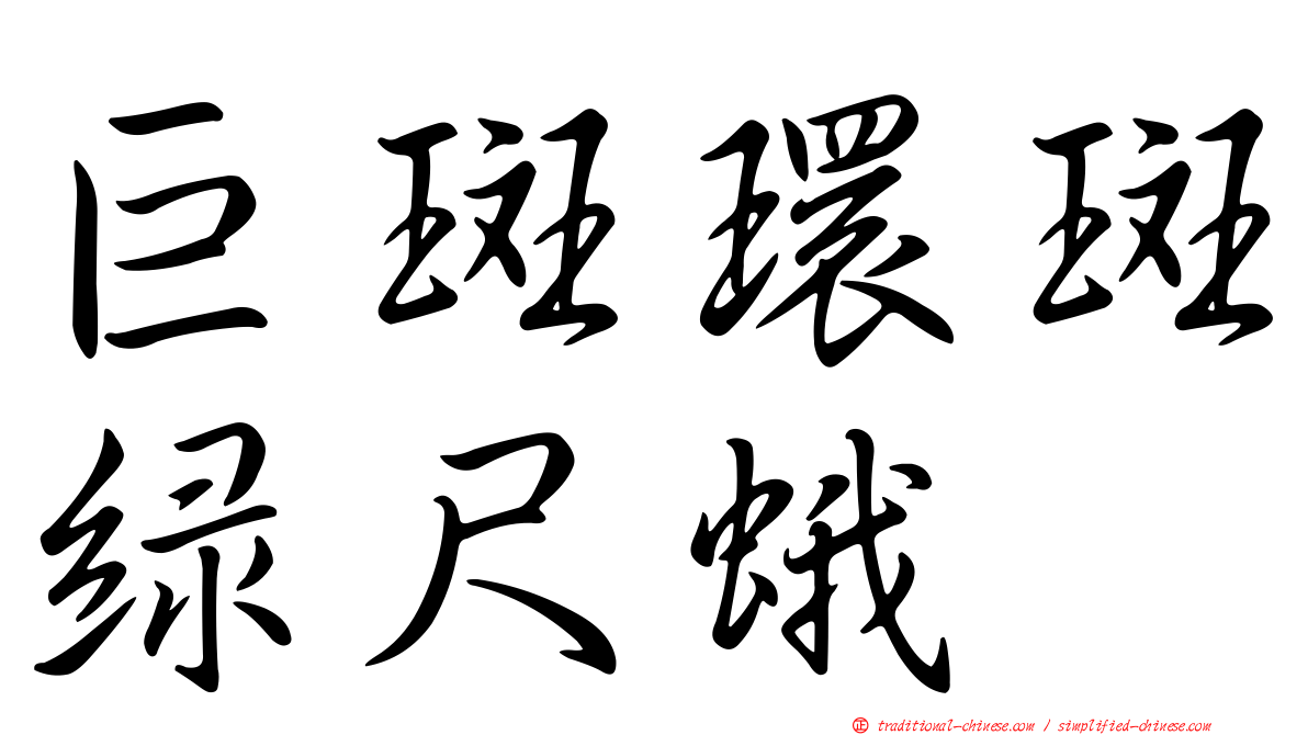 巨斑環斑綠尺蛾
